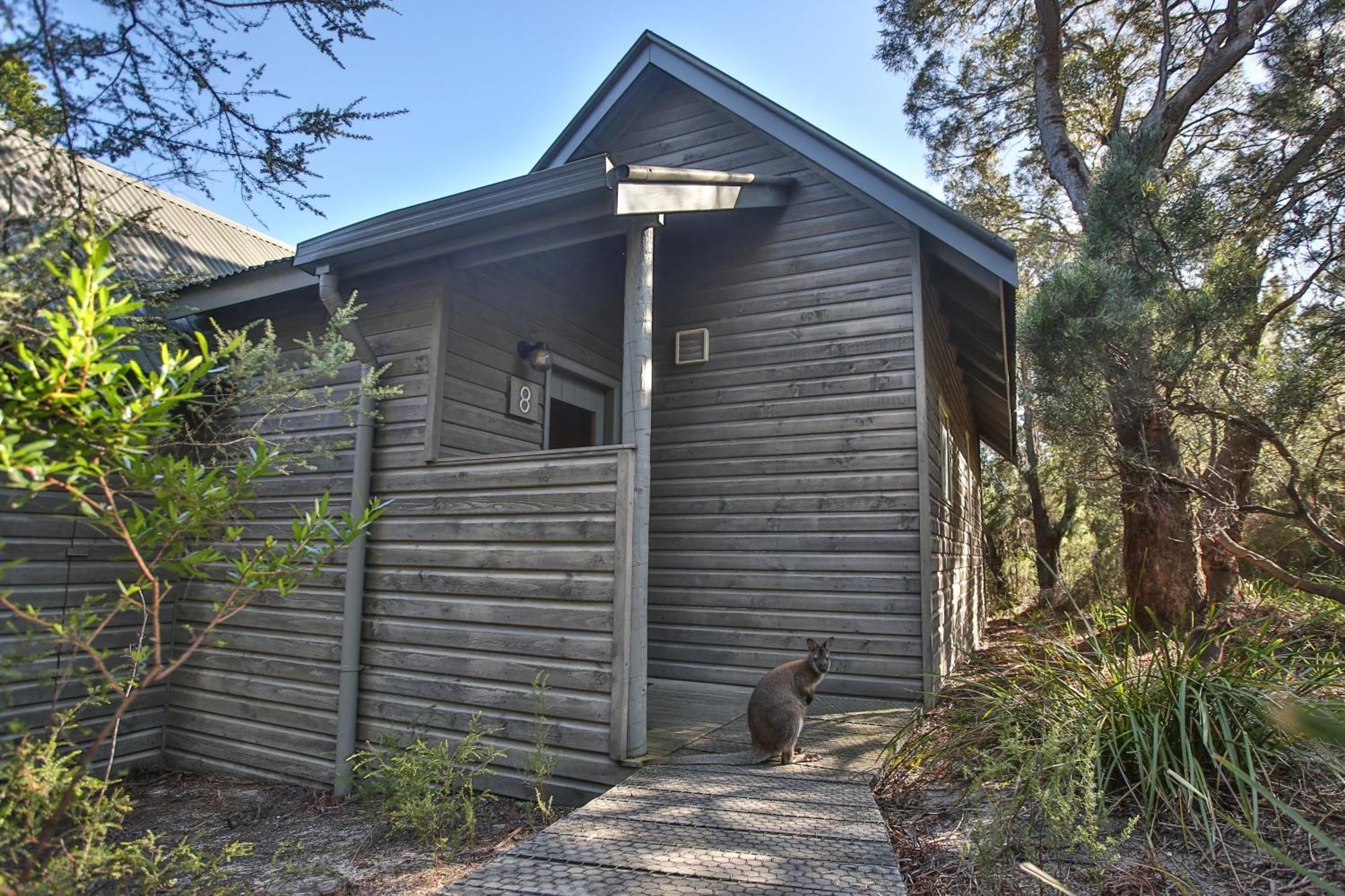 קולאס ביי Freycinet Lodge מראה חיצוני תמונה